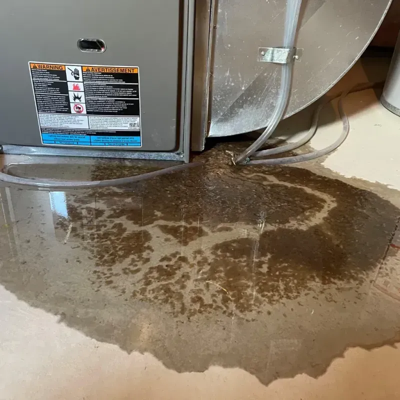 Appliance Leak Cleanup in Westfield, IN